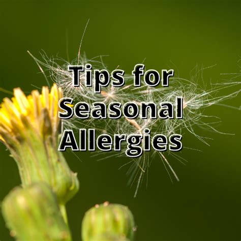 Tips For Seasonal Allergies