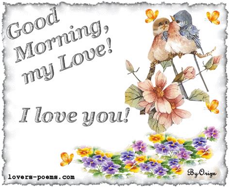 Good Morning My Love I Love You Pictures Photos And Images For