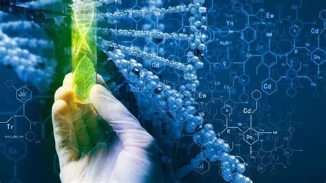 Gk Descriptive Questions And Answers On Biotechnology Dna Technology