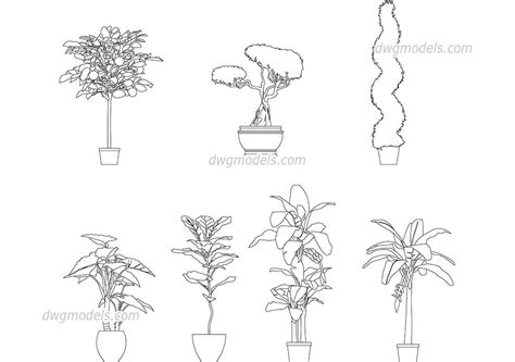 Plants tree vegetation blocks views simple tree elevation color autocad. Potted Trees | Interior architecture drawing, Potted trees ...