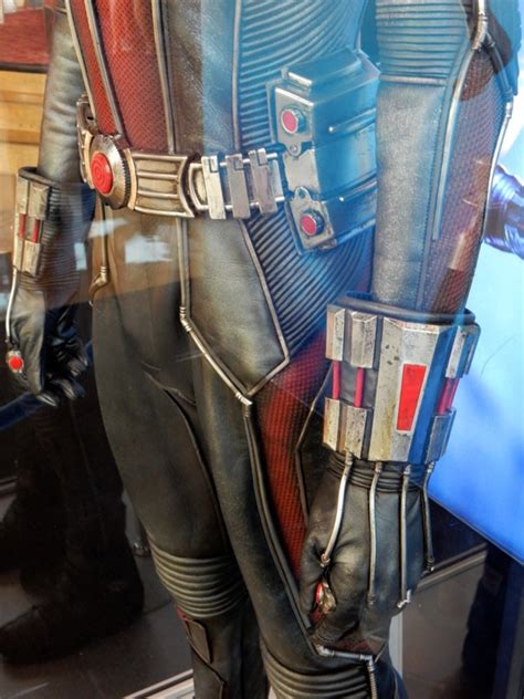 Hollywood Movie Costumes And Props Paul Rudds Ant Man Movie Costume