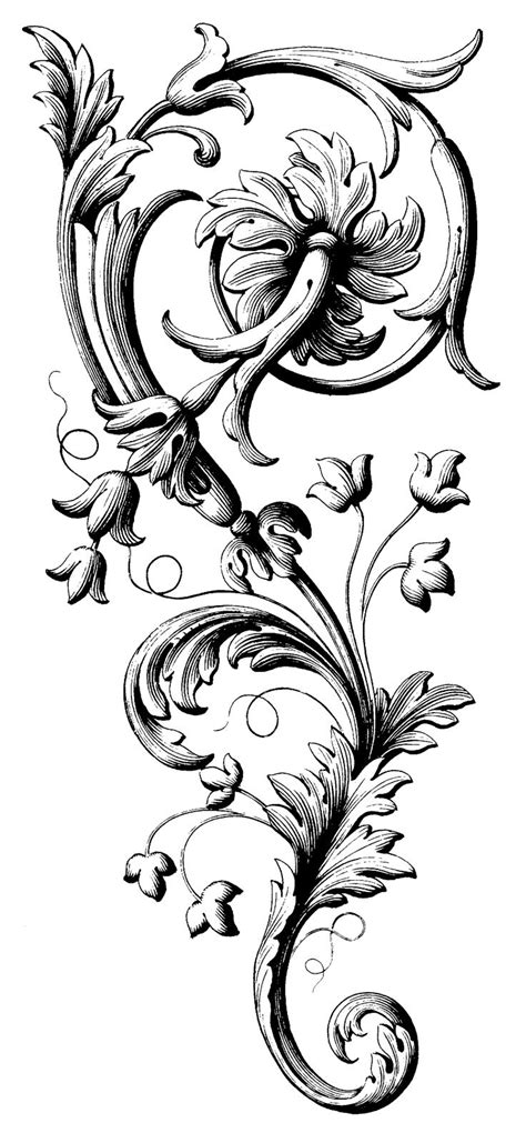 55 Best Images About Acanthus Leaves On Pinterest Baroque Drawings