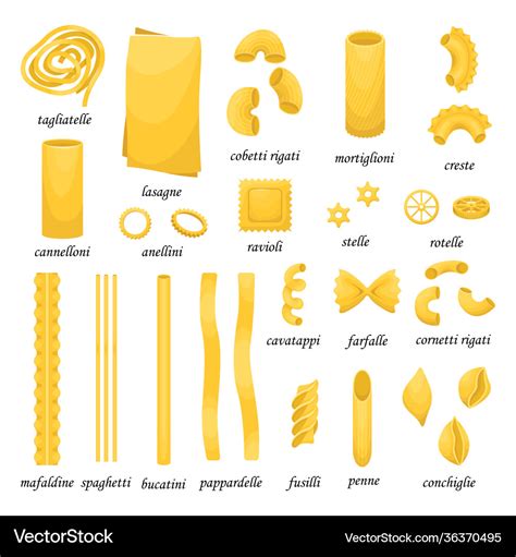 Set Different Types Italian Pasta Royalty Free Vector Image