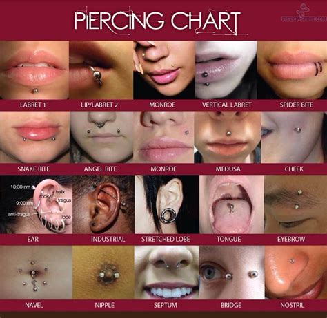 types of piercings and their names musely