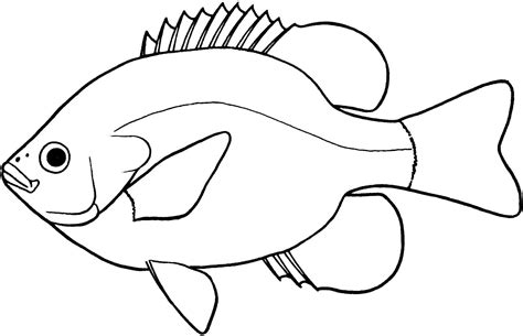 Бесплатни цртежи рибљих линија Преузмите бесплатне исјечке бесплатне