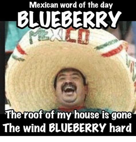 Mexican Word Of The Day Blueberry The Roof Of My House Is Gone The Wind