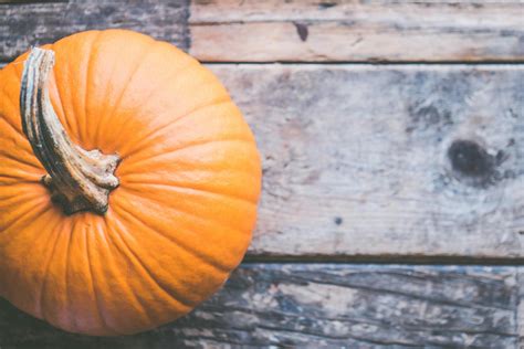 100 Amazing Pumpkin Photos · Pexels · Free Stock Photos