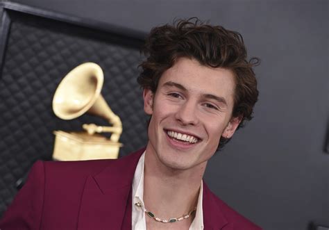 Shawn Mendes Cancels World Tour To Prioritize His Health Ap News