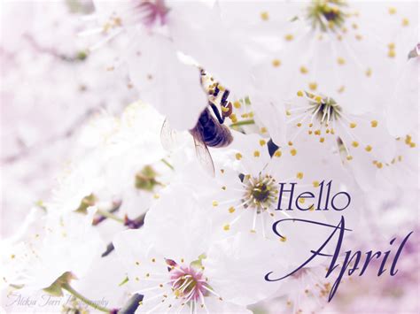 75 Hello April Quotes And Sayings