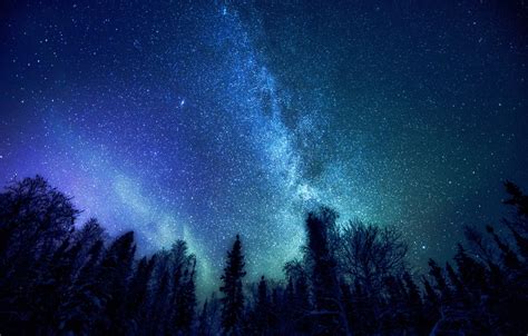 Wallpaper Forest Space Stars Trees The Milky Way Mystery Images