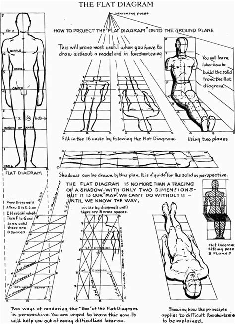 Figure Drawing Reference Sheet For Drawing A Man S Body Male Figure Drawing Figure Drawing