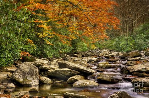 Peaceful Autumn Stream Photograph By Cheryl Davis