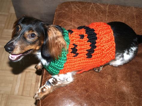 Jack O Lantern Dog Sweater Pattern Knit Dog Sweater