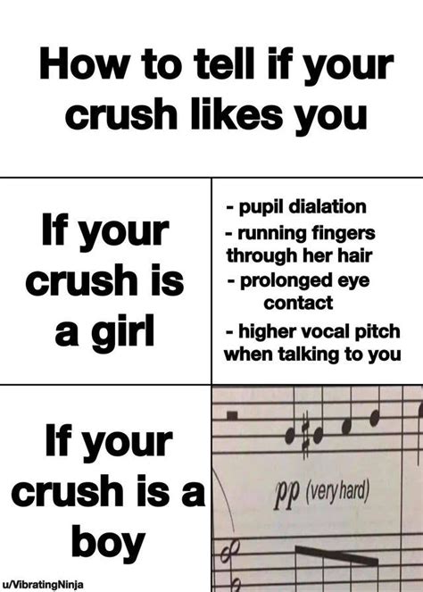 A Guide To Finding Out If Your Crush Likes You In 2023 Reddit Funny Funny Jokes To Tell