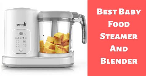 We did not find results for: Best Baby Food Steamer And Blender in 2021- For Sweet Littles