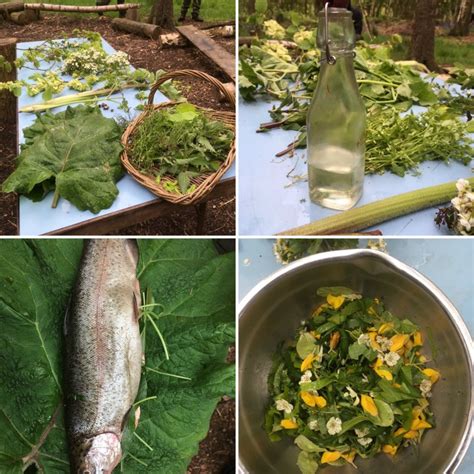 March 19, 2019 by kit leave a comment. Wild Food, Foraging & Wilderness Cookery - SOLD OUT!