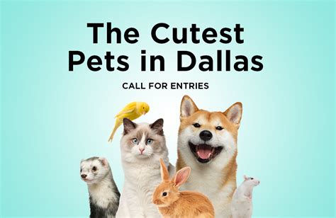 The Cutest Pets In Dallas Call For Entries D Magazine