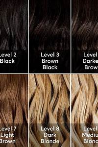  Reed Hair Color Chart Amiee Landis