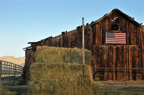 ‘old Barn Pitchfork And American Flag By Catherine Ames American