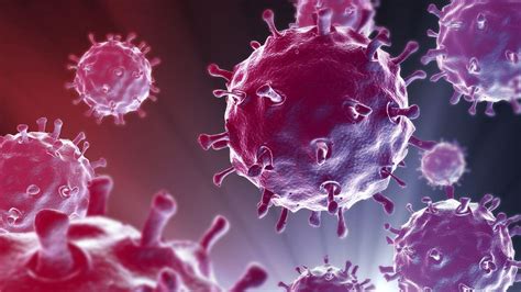 Neue Erkenntnisse Zum Vogelgrippe Virus H7n9 Der Spiegel