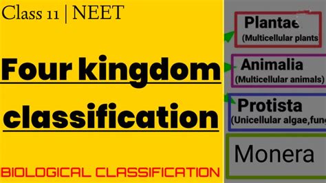 Four Kingdom Classification System Class 11 Biological Classification