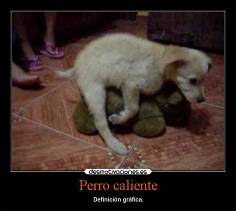 Imágenes Y Carteles De Perros Pag 8 Desmotivaciones