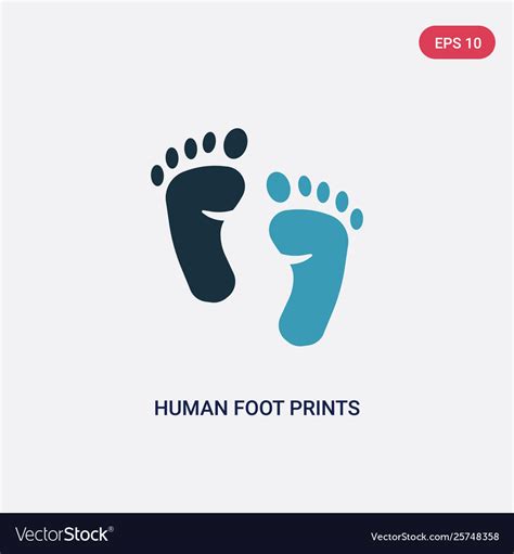 Two Color Human Foot Prints Icon From Shapes Vector Image