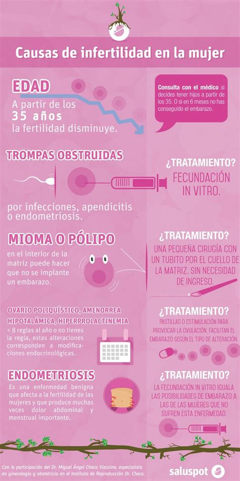Causas Frecuentes De La Infertilidad En La Mujer Infografia Pinterest La Mujer Salud Y
