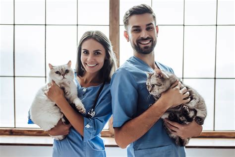 did you know you don t have to be a vet to own a vet practice vet help direct