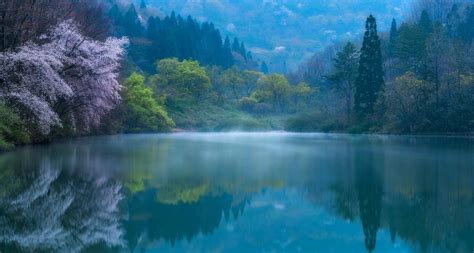 Misty Lake In Spring Image Abyss