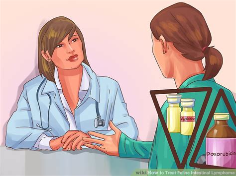 Lymphoma is, at this time, the most common renal lymphoma is lymphoma in the kidneys and is one of the worst forms of lymphoma for a cat to in most cases, the cat is brought to the veterinarian for symptoms related to insufficient kidney. 3 Ways to Treat Feline Intestinal Lymphoma - wikiHow