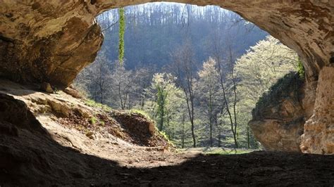 You may be more 'Neanderthal' than you thought | Fox News