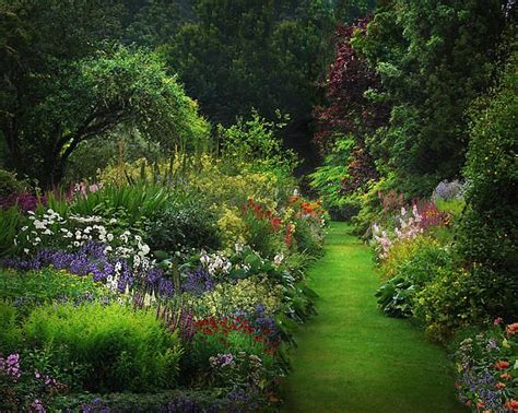 Pin By Sarah Binder On Gardening Tips Enchanted Garden Dream Garden