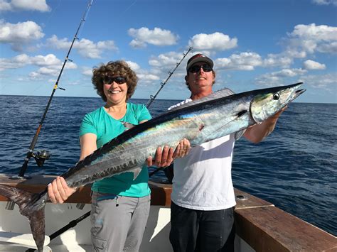 February Action On Wahoo Tuna And Sailfish Fishing Headquarters