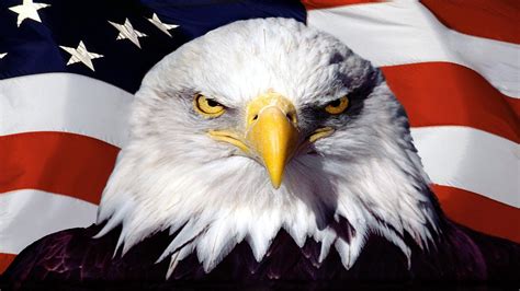 Compartir 96 Imagen Eagle With American Flag Background