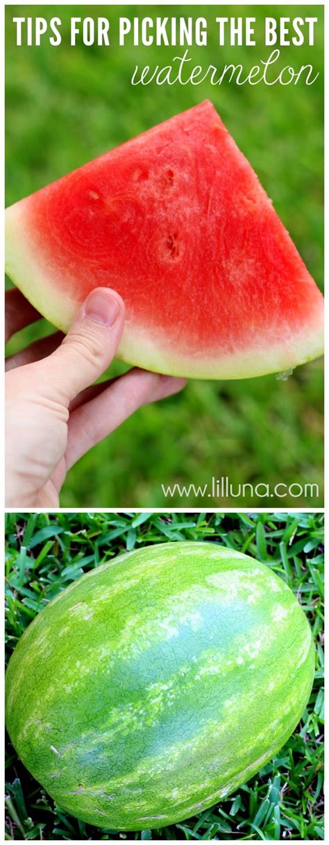 The deeper the colour is, the riper the watermelon is on. How to Pick Out a Good Watermelon