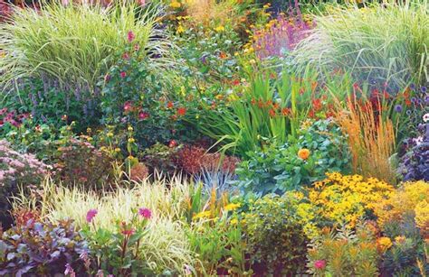 How To Plant A Hardy Perennial Border Video