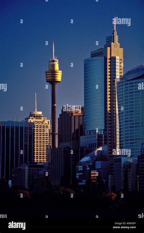 Skyscrapers And Sydney Amp Tower Sydney Australia Stock Photo Alamy