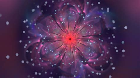 Light Purple Fractal Flower Glow 4k Hd Abstract Wallpapers Hd