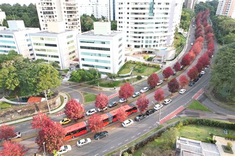 “rua Do Outono” De Curitiba é Uma Das Preferidas Para Selfies Bem Paraná