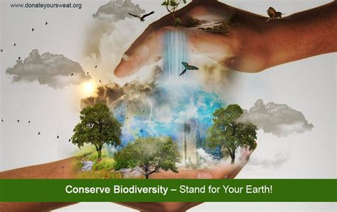 Biodiversity How To Save It Earth Conservation Donate Your Sweat