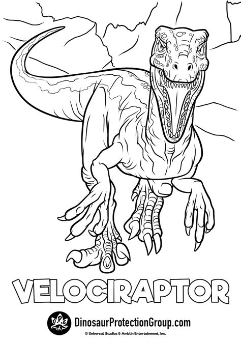 We do not intend to infringe any legitimate intellectual right, artistic rights or copyright. Raptor Coloring Pages - Coloring Home