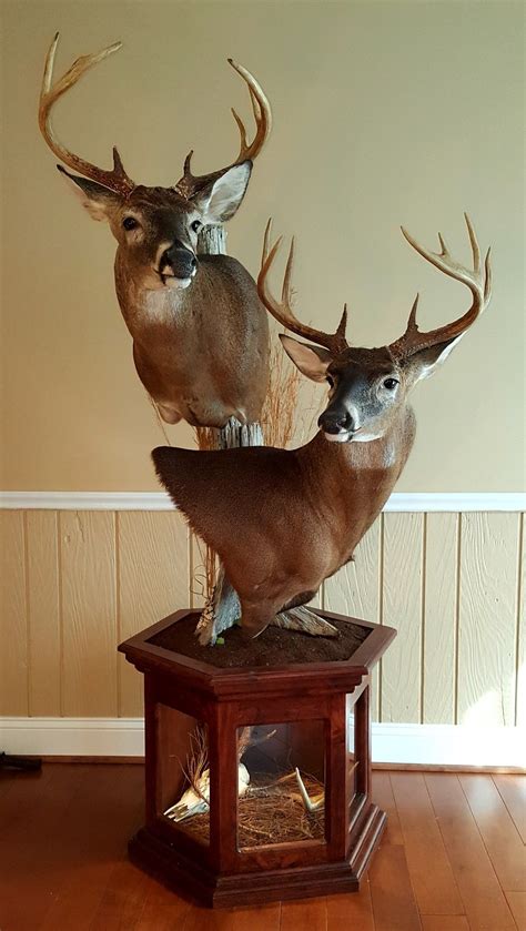 Double Deer Pedestal Deer Hunting Decor Deer Head Decor Hunting