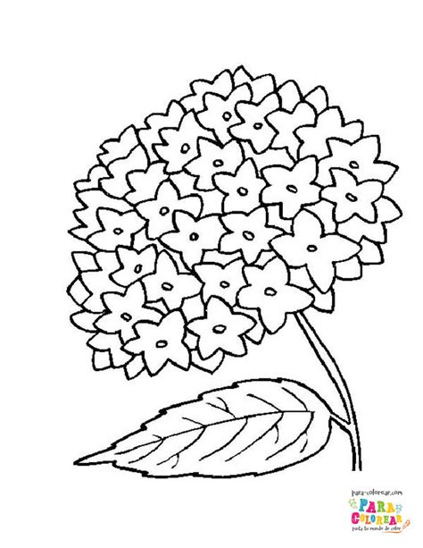 0 Result Images Of Ramo De Flores Dibujo Para Colorear Png Image