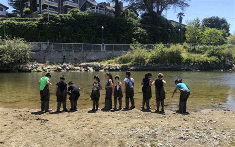 The coastal watershed council (cwc) is working for a healthy san lorenzo river watershed connected t. CWC Programs Teach Fly Fishing at the San Lorenzo River