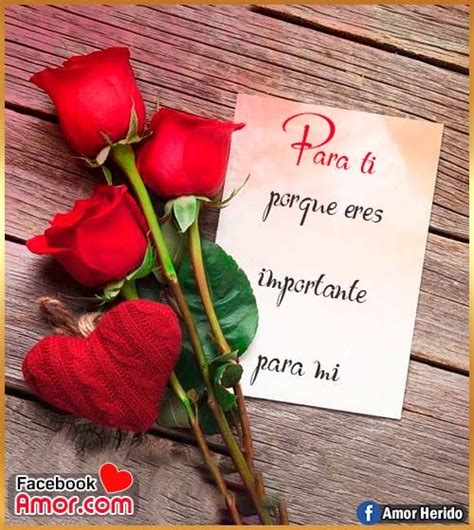Imágenes De Rosas Rojas Con Frase De Amor Este 2020 Facebook Amor En
