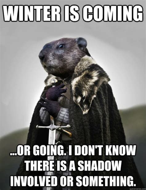 Groundhog Memes Find And Join Some Awesome Servers Listed Here