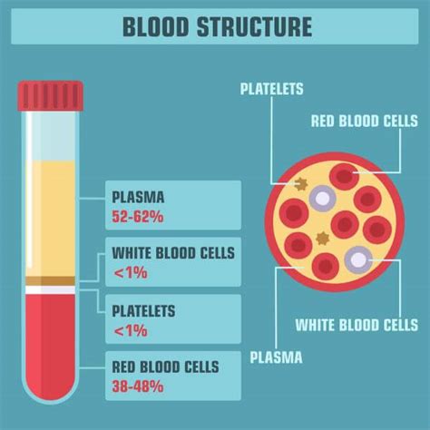 Serum Vs Plasma Biology Dictionary