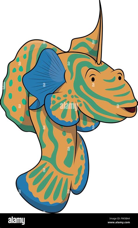 Mandarin Dragon Fish Stock Vector Image And Art Alamy