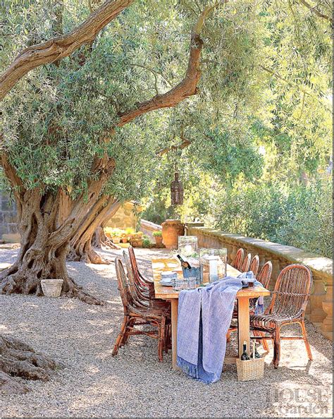 John Saladinos Villa Dilemma Olive Tree Allee Table